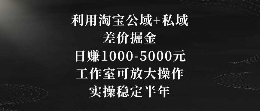 利用淘宝公域+私域差价掘金，日赚1000-5000元，工作室可放大操作，实操稳定半年【揭秘】-启航188资源站