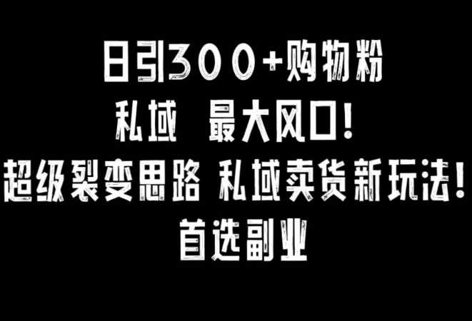 日引300+购物粉，超级裂变思路，私域卖货新玩法，小红书首选副业【揭秘】-启航188资源站