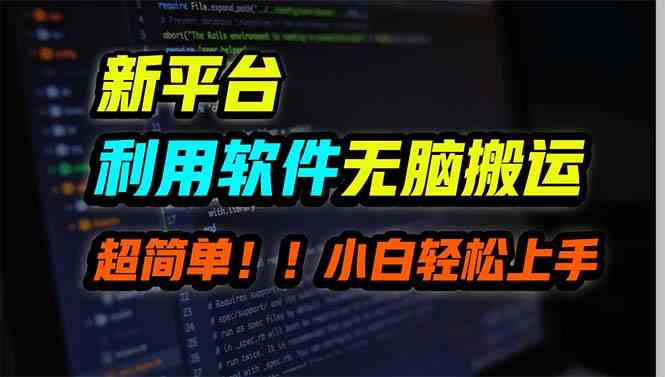 （9745期）新平台用软件无脑搬运，月赚10000+，小白也能轻松上手-启航188资源站