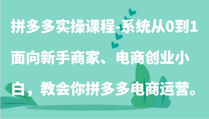 拼多多实操课程-系统从0到1，面向新手商家、电商创业小白，教会你拼多多电商运营。-启航188资源站