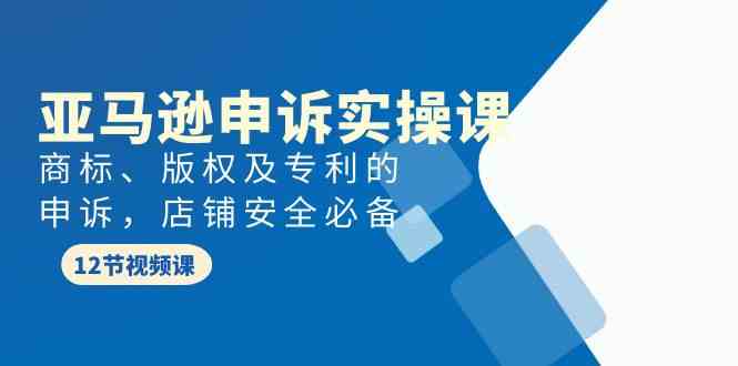 （9754期）亚马逊-申诉实战课，​商标、版权及专利的申诉，店铺安全必备-启航188资源站