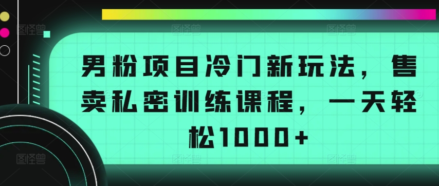 男粉项目冷门新玩法，售卖私密训练课程，一天轻松1000+-启航188资源站