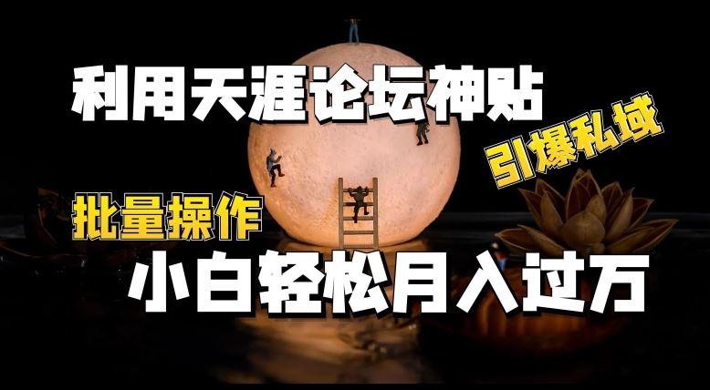 利用天涯论坛神贴，引爆私域，批量操作，小白轻松月入过w【揭秘】-启航188资源站