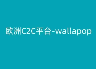 欧洲C2C平台-wallapop-kim跨境电商教程-启航188资源站