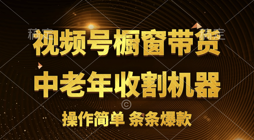 （11009期）[你的孩子成功取得高位]视频号最火爆赛道，橱窗带货，流量分成计划，条…-启航188资源站