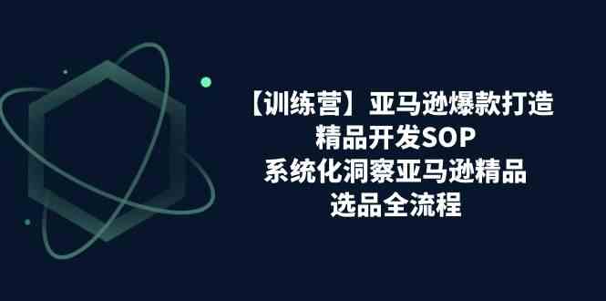 亚马逊爆款打造之精品开发SOP【训练营】，系统化洞察亚马逊精品选品全流程-启航188资源站