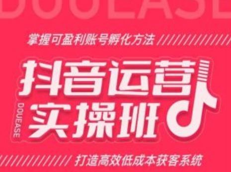 抖音运营实操班，掌握可盈利账号孵化方法，打造高效低成本获客系统-启航188资源站