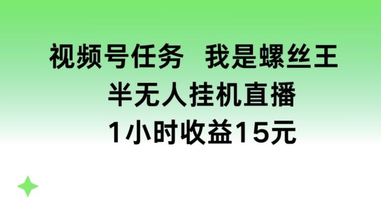 视频号任务，我是螺丝王， 半无人挂机1小时收益15元【揭秘】-启航188资源站