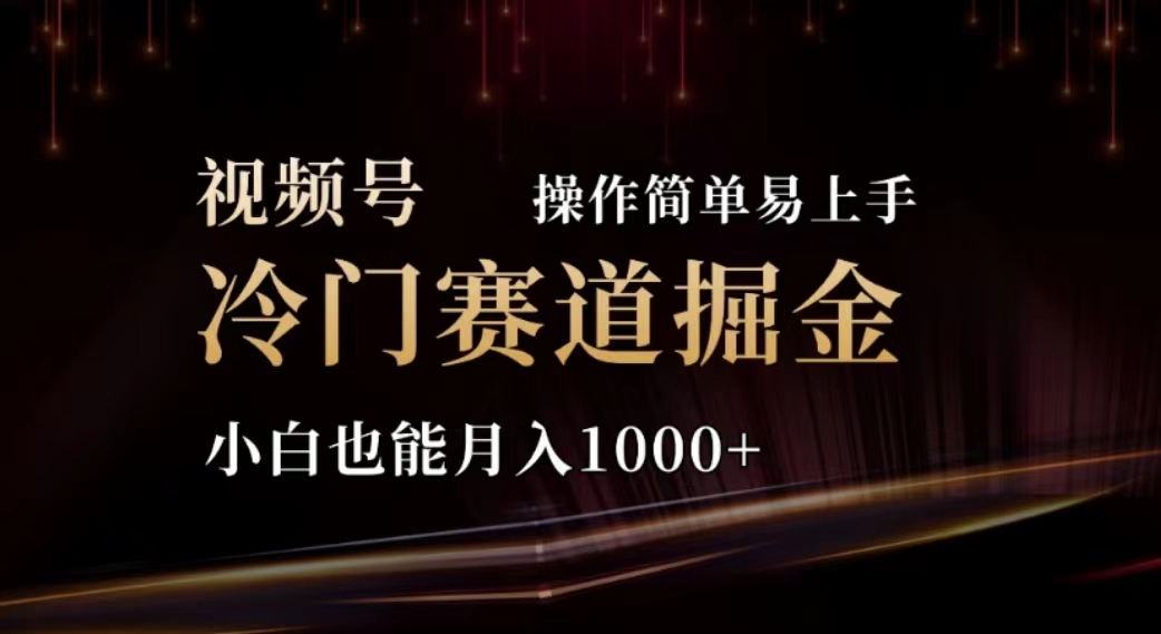 （11378期）2024视频号冷门赛道掘金，操作简单轻松上手，小白也能月入1000+-启航188资源站