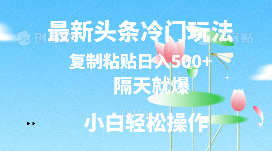 （11414期）最新头条冷门玩法，隔天就爆，复制粘贴日入500+-启航188资源站