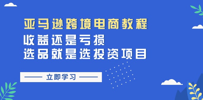 （11432期）亚马逊跨境电商教程：收益还是亏损！选品就是选投资项目-启航188资源站