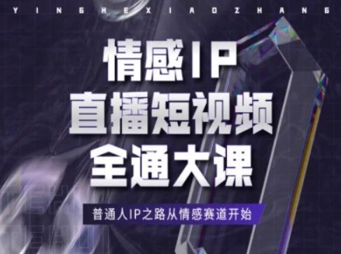 情感IP直播短视频全通大课，普通人IP之路从情感赛道开始-启航188资源站