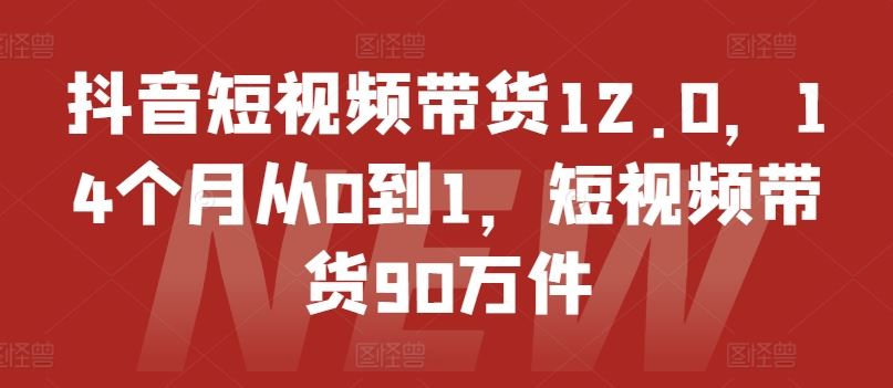 抖音短视频带货12.0，14个月从0到1，短视频带货90万件-启航188资源站