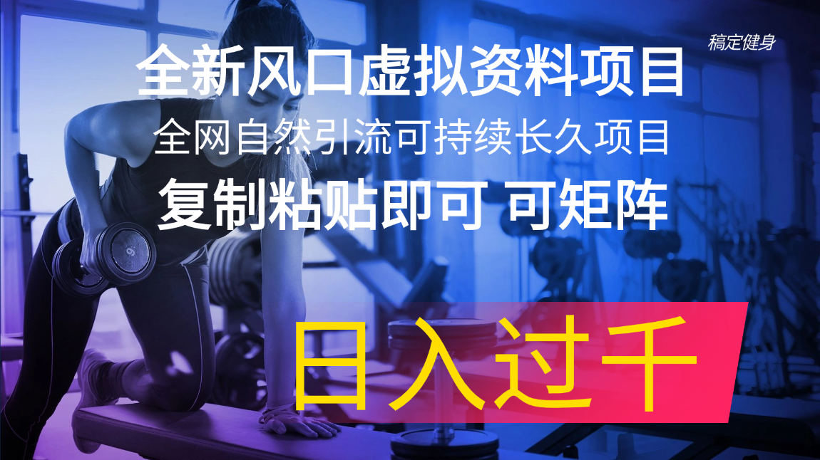 （11587期）全新风口虚拟资料项目 全网自然引流可持续长久项目 复制粘贴即可可矩阵…-启航188资源站