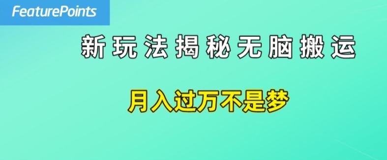 简单操作，每天50美元收入，搬运就是赚钱的秘诀【揭秘】-启航188资源站