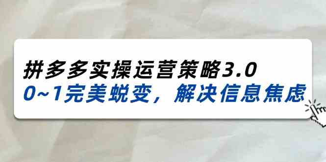 2024-2025拼多多实操运营策略3.0，0~1完美蜕变，解决信息焦虑（38节）-启航188资源站