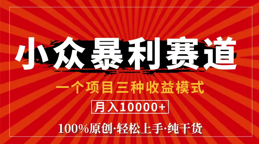 （11695期）视频号【中老年粉深信不疑】小众赛道 100%原创 手把手教学 新号3天收益…-启航188资源站