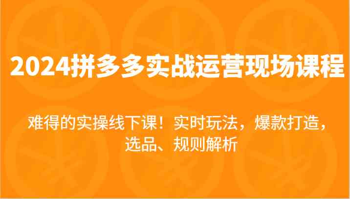 2024拼多多实战运营现场课，实时玩法，爆款打造，选品、规则解析，难得的实操线下课！-启航188资源站