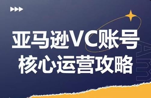 亚马逊VC账号核心玩法解析，实战经验拆解产品模块运营技巧，提升店铺GMV，有效提升运营利润-启航188资源站