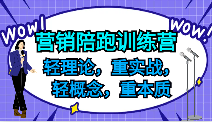 营销陪跑训练营，轻理论，重实战，轻概念，重本质，适合中小企业和初创企业的老板-启航188资源站