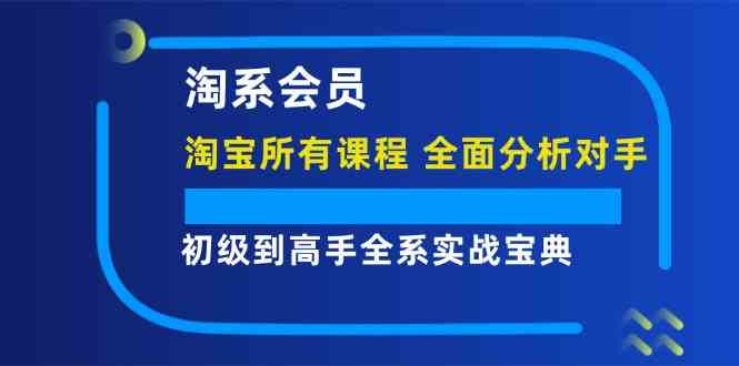 淘系会员初级到高手全系实战宝典【淘宝所有课程，全面分析对手】-启航188资源站