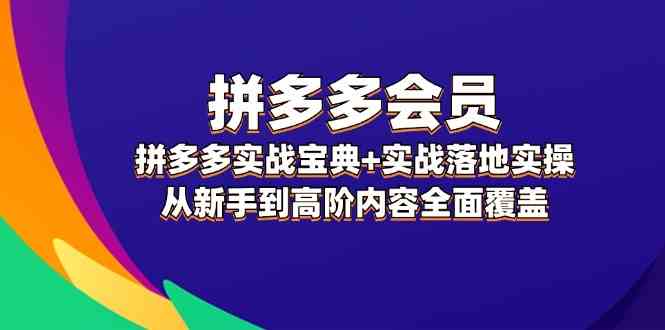 拼多多会员实战宝典+实战落地实操，从新手到高阶内容全面覆盖-启航188资源站