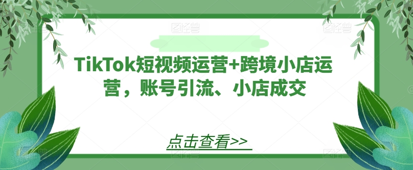 TikTok短视频运营+跨境小店运营，账号引流、小店成交-启航188资源站