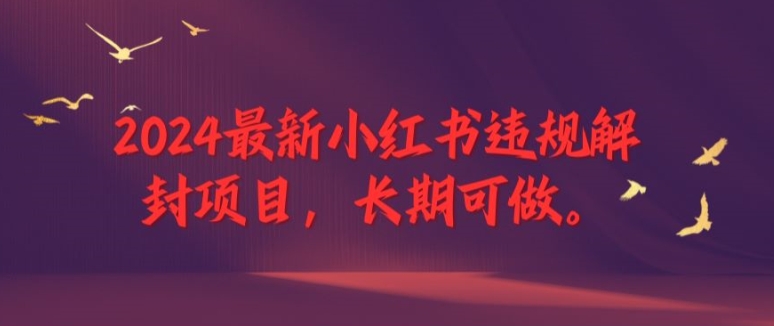 2024最新小红书违规解封项目，长期可做，一个可以做到退休的项目-启航188资源站