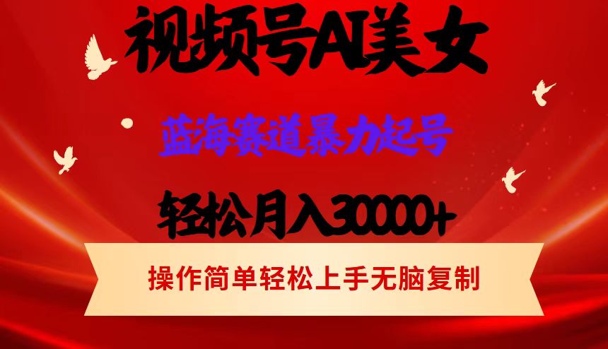 （12178期）视频号AI美女跳舞，轻松月入30000+，蓝海赛道，流量池巨大，起号猛，当…-启航188资源站