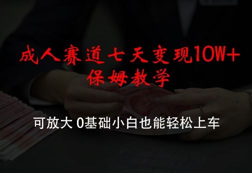 成人赛道七天变现10W+保姆教学，可放大，0基础小白也能轻松上车【揭秘】-启航188资源站