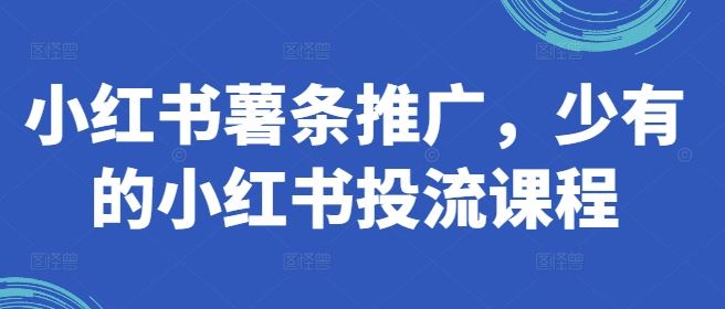 小红书薯条推广，少有的小红书投流课程-启航188资源站