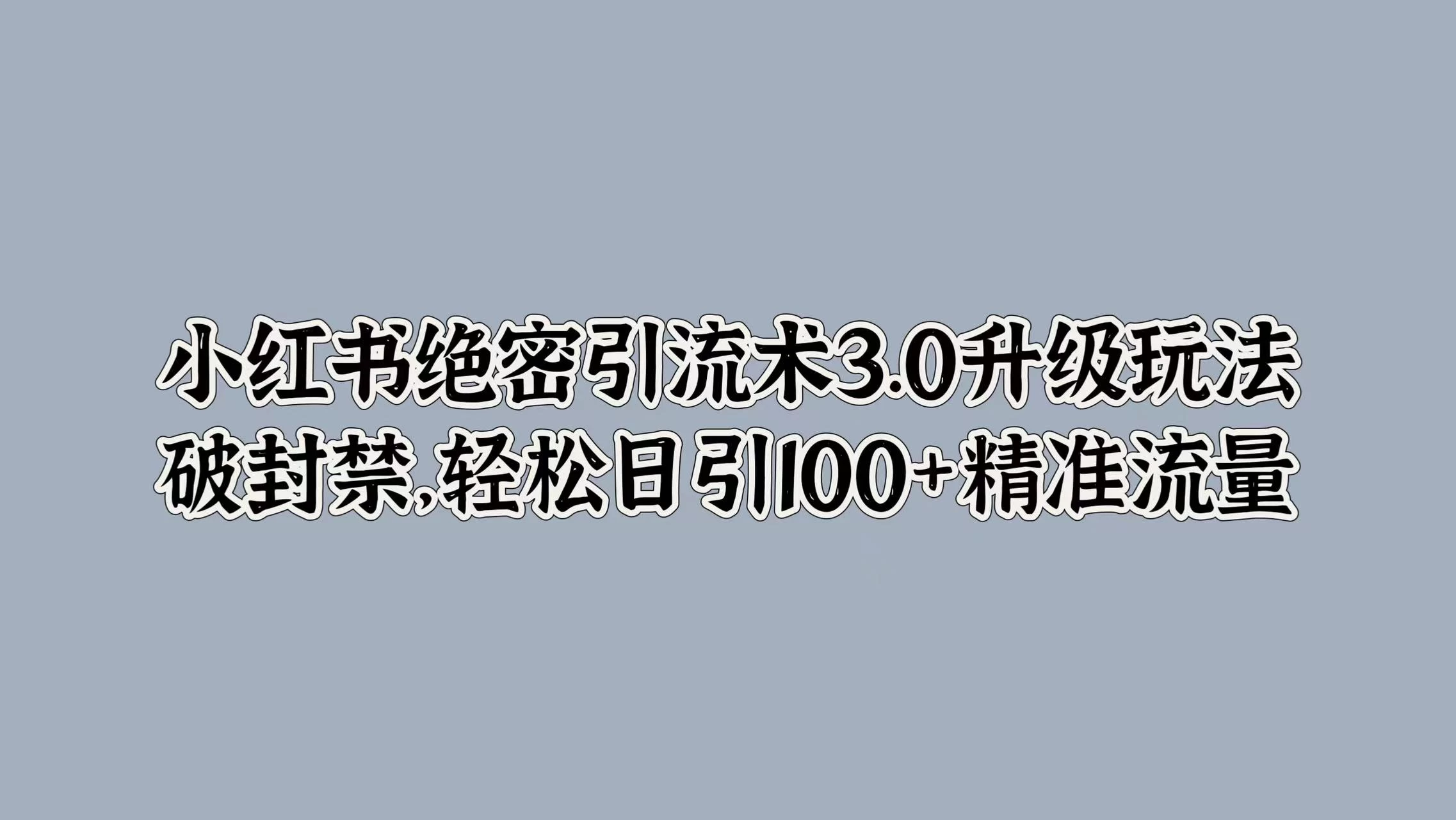 小红书绝密引流术3.0升级玩法，破封禁，轻松日引100+精准流量-启航188资源站