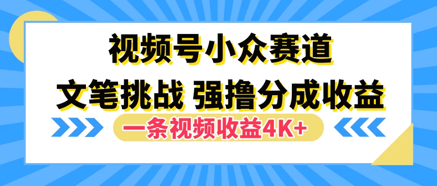 视频号小众赛道，文笔挑战，一条视频收益4K+-启航188资源站