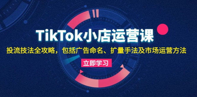 （13063期）TikTok小店运营课：投流技法全攻略，包括广告命名 扩量手法及市场运营方法-启航188资源站