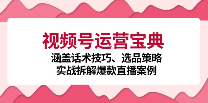 视频号运营宝典：涵盖话术技巧、选品策略、实战拆解爆款直播案例-启航188资源站