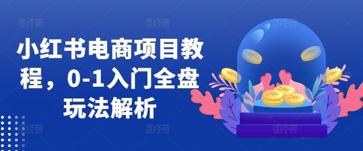 小红书电商项目教程，0-1入门全盘玩法解析-启航188资源站