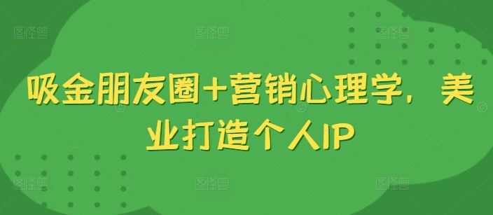 吸金朋友圈+营销心理学，美业打造个人IP-启航188资源站