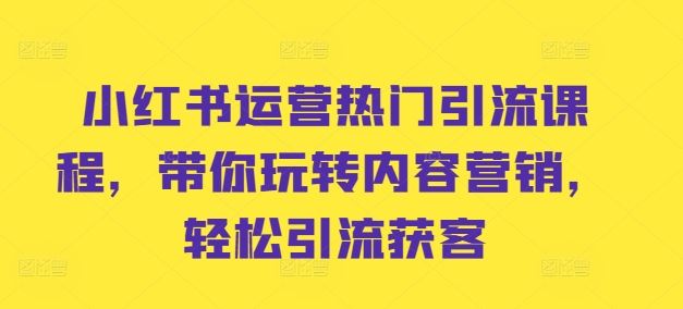 小红书运营热门引流课程，带你玩转内容营销，轻松引流获客-启航188资源站