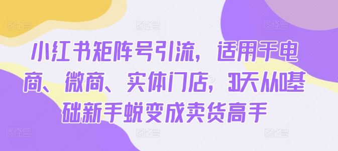 小红书矩阵号引流，适用于电商、微商、实体门店，30天从0基础新手蜕变成卖货高手-启航188资源站