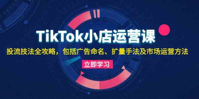 TikTok小店运营课：投流技法全攻略，包括广告命名 扩量手法及市场运营方法-启航188资源站