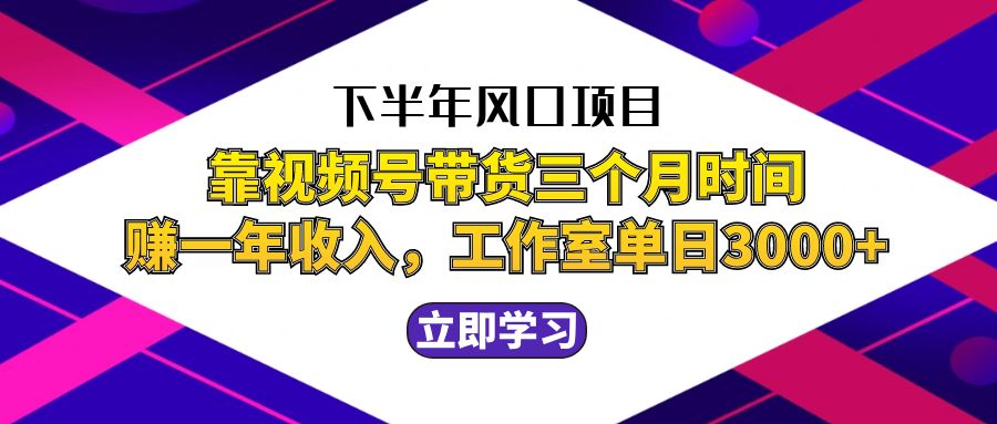 （12849期）下半年风口项目，靠视频号带货三个月时间赚一年收入，工作室实测单日3…-启航188资源站