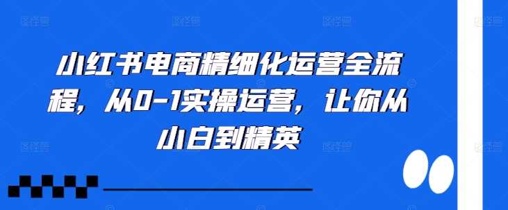 小红书电商精细化运营全流程，从0-1实操运营，让你从小白到精英-启航188资源站