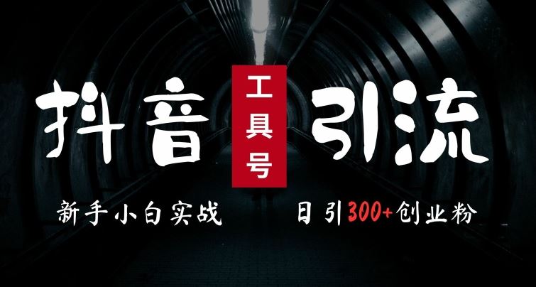 2024最新抖音工具号引流玩法，高效日引300+创业粉，当天变现5k，小白也可成为实战高手-启航188资源站