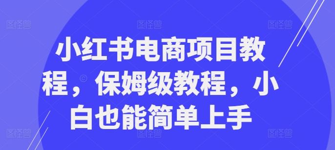 小红书电商项目教程，保姆级教程，小白也能简单上手-启航188资源站