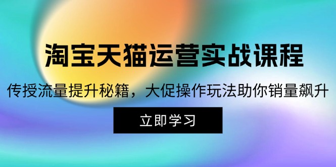 （12959期）淘宝&天猫运营实战课程，传授流量提升秘籍，大促操作玩法助你销量飙升-启航188资源站