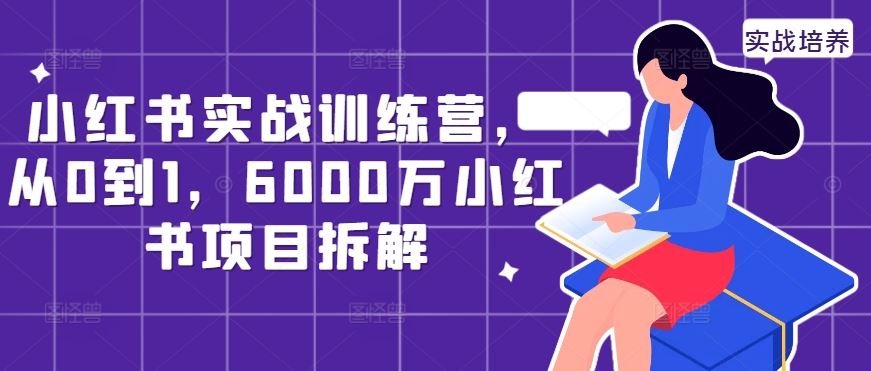 小红书实战训练营，从0到1，6000万小红书项目拆解-启航188资源站