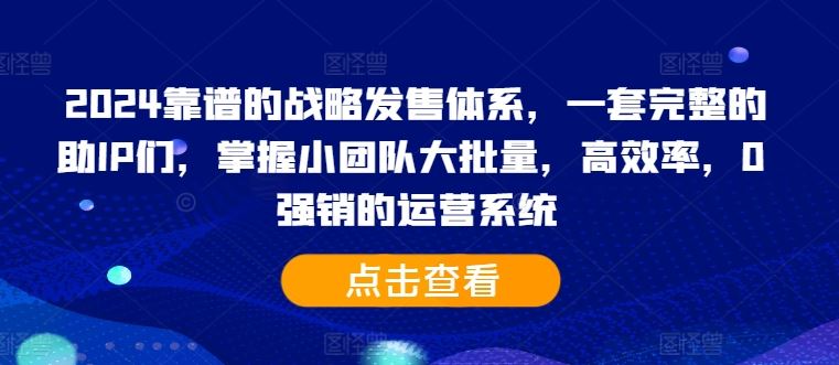 2024靠谱的战略发售体系，一套完整的助IP们，掌握小团队大批量，高效率，0 强销的运营系统-启航188资源站