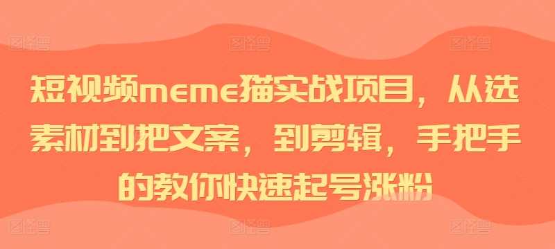 短视频meme猫实战项目，从选素材到把文案，到剪辑，手把手的教你快速起号涨粉-启航188资源站