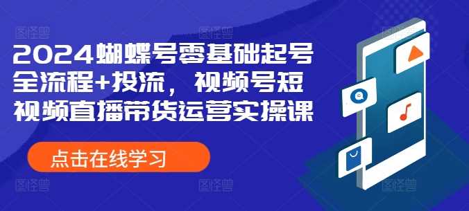 2024蝴蝶号零基础起号全流程+投流，视频号短视频直播带货运营实操课-启航188资源站