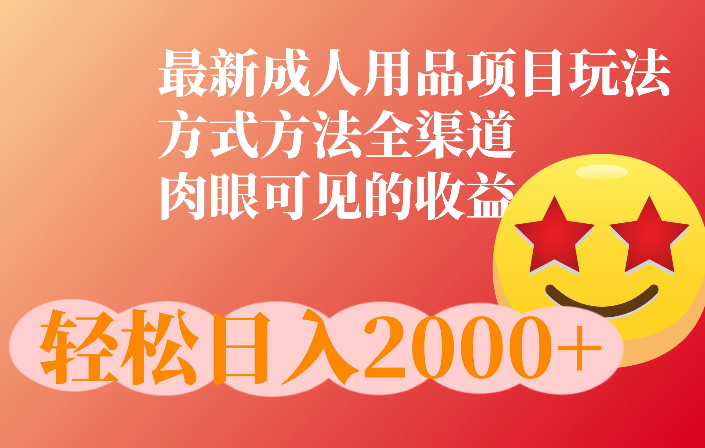 成人用品项目最新玩法，行业异常火爆，方式方法全渠道-启航188资源站